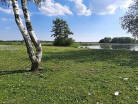 /album/winter-in-wervershoof-2020-21/nunspeet-19-jpg/